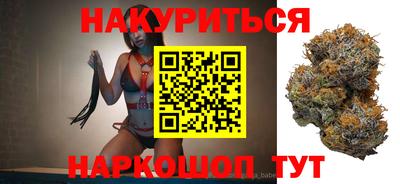 прущие грибы Будённовск