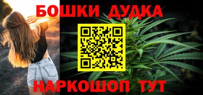 прущие грибы Будённовск