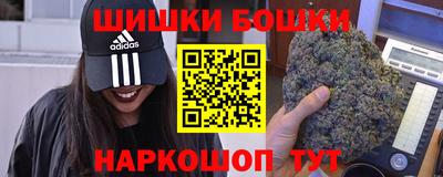 прущие грибы Будённовск