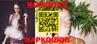 прущие грибы Будённовск